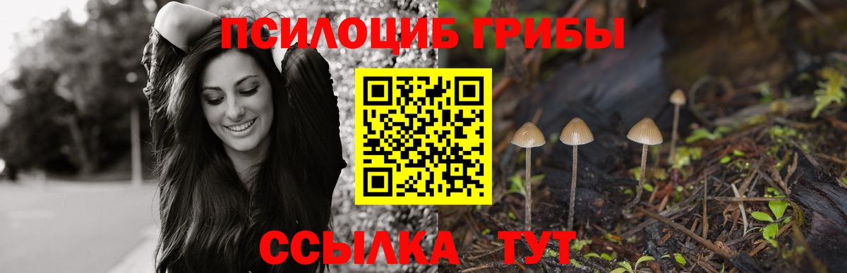 Псилоцибиновые грибы Magic Shrooms  Вход с VPN  Новочеркасск 