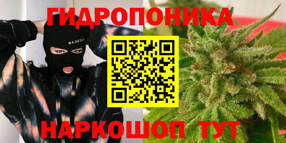 Канабис план Новочеркасск